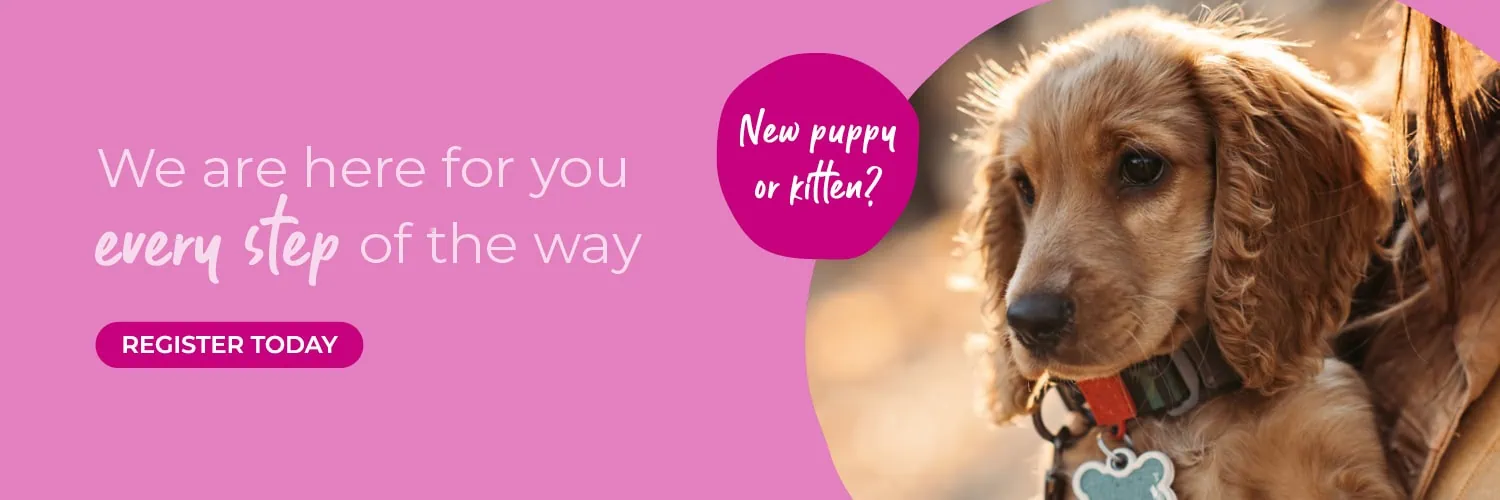 Blacks Vets in Dudley, Oldbury, Sedgley, Quinton & Lye Stourbridge