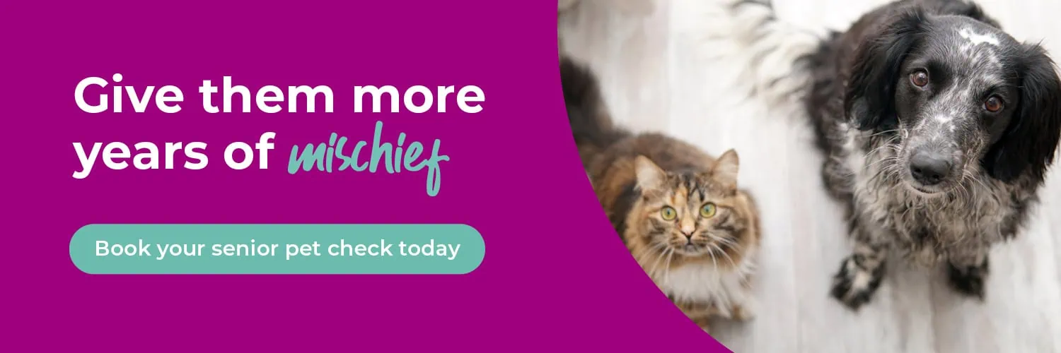 Blacks Vets in Dudley, Oldbury, Sedgley, Quinton & Lye Stourbridge