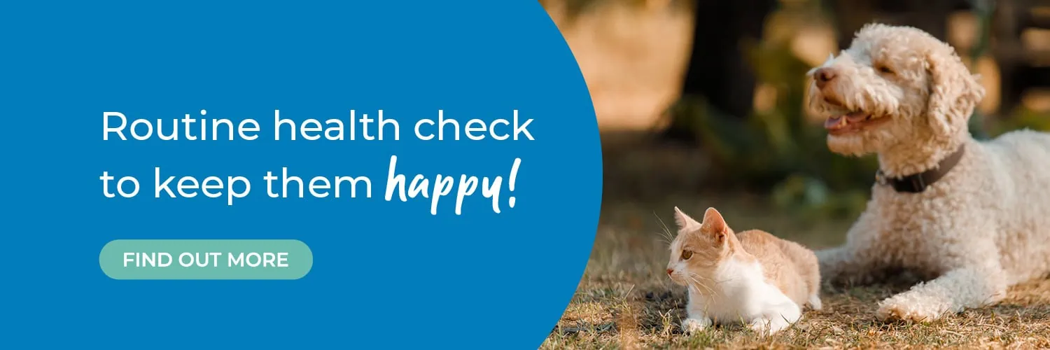 Blacks Vets in Dudley, Oldbury, Sedgley, Quinton & Lye Stourbridge