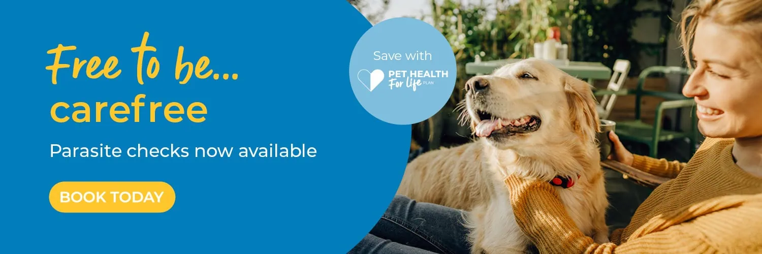 Blacks Vets in Dudley, Oldbury, Sedgley, Quinton & Lye Stourbridge