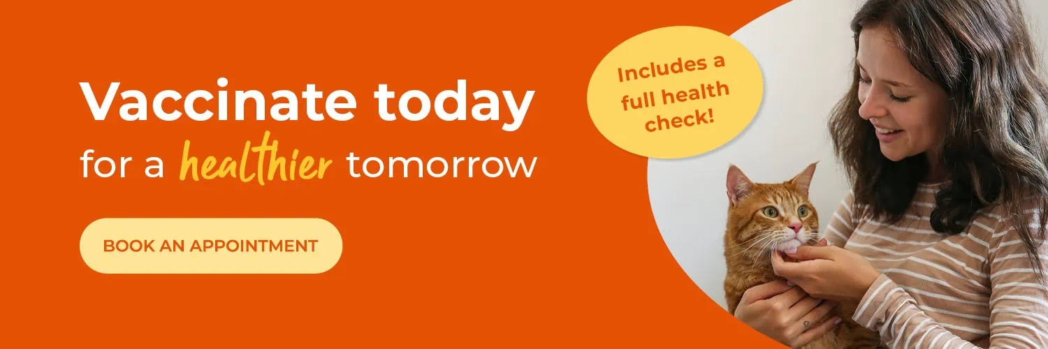 Blacks Vets in Dudley, Oldbury, Sedgley, Quinton & Lye Stourbridge